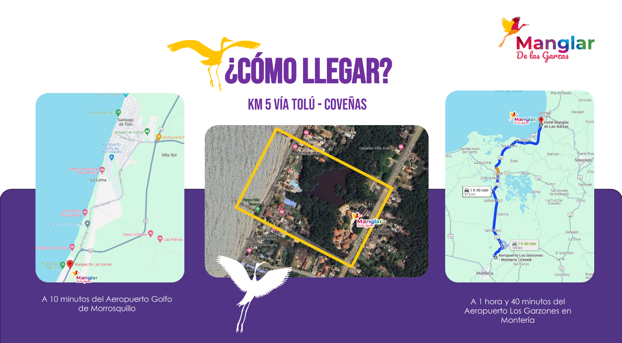 Captura de pantalla 2025 11 21 134225