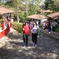 img36